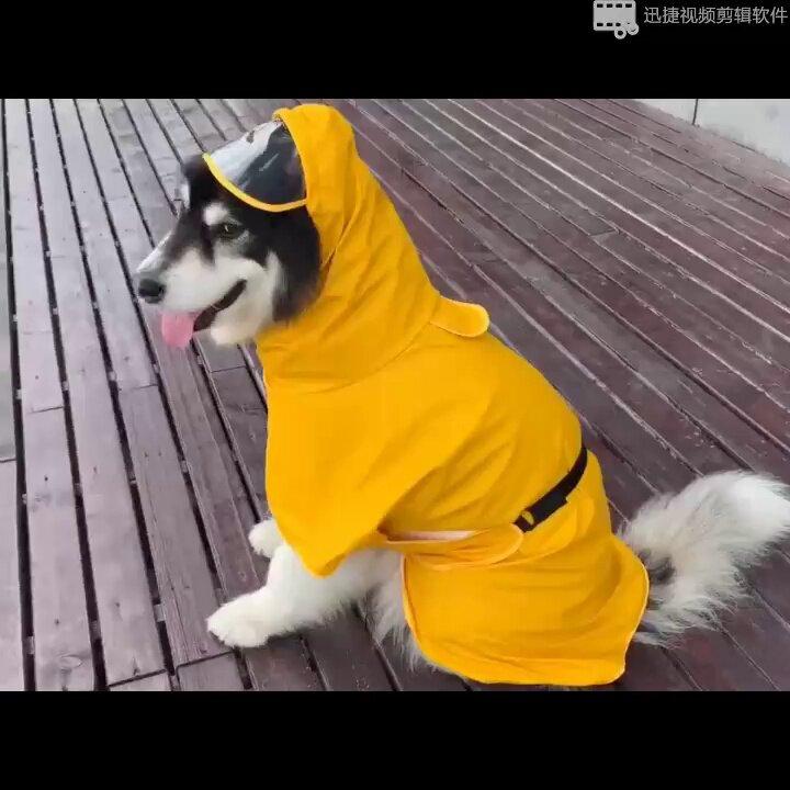 ���� ���� �ɿ� �ɱ� �����ȥ����� ���襤�� �� ������ ������ �����ȥɥ� ���� ��Ŭ