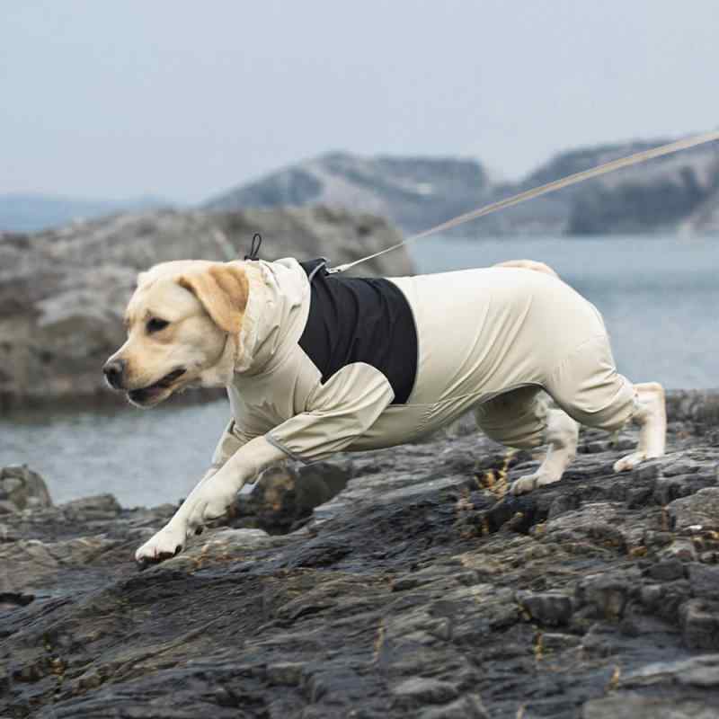 犬用 レインコート 中型犬 大型犬 防水 耐汚れ 四脚カバー 屋外 散歩用 ゴールデンレトリバー ラブラドールレトリバー 柴犬 対応