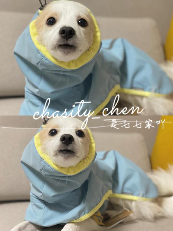 大型犬用 ペット レインコート 雨具 ポンチョ ケープ 防水 安全反射 ストリップ 通年使用 アウトドア 散歩 軽量 機能性・スタイル: 雨衣・カラー展開: ぶどう紫.西柚ピンク.キウイゴールド.レモンブルー.マンゴー黄・サイズ展開: S,M,L,2L,3L,4L,5L,6L