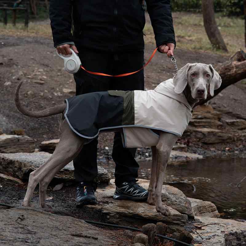 大型犬用 春夏 防水 防風 防塵 屋外 切り替えカラー ペット 雨衣 ジャケット アウトドア 散歩用 軽量 機能性