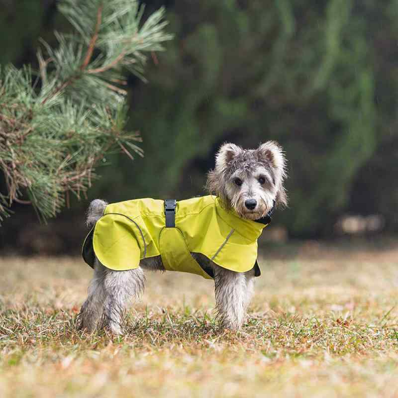犬用レインコート 防水 小型犬 中型犬 テディ犬 アウトドア ジャケット ペット服 雨披 散歩用 雨の日 保護 軽量 通気性 速乾