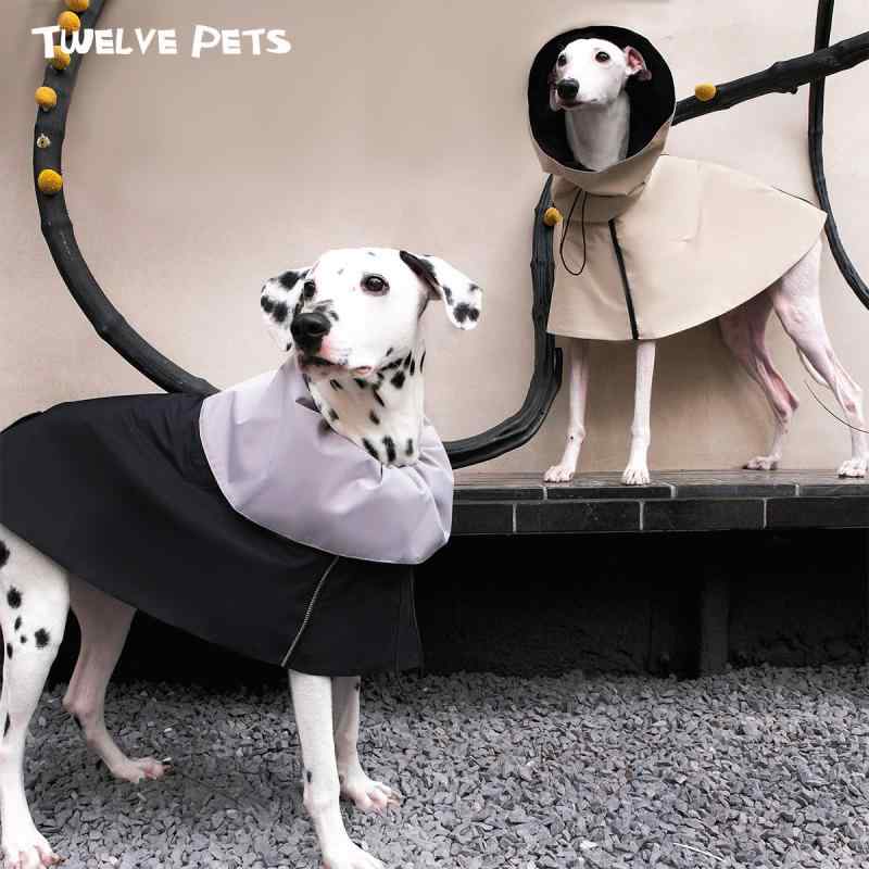 ���� �ɿ� �쥤�󥳡��� �ɱ��ù� ������ �������� �磻�ɥ֥�� ˹���դ� �澮���� �緿�� ������ �����ȥɥ� ���� ���� ��ǽ��