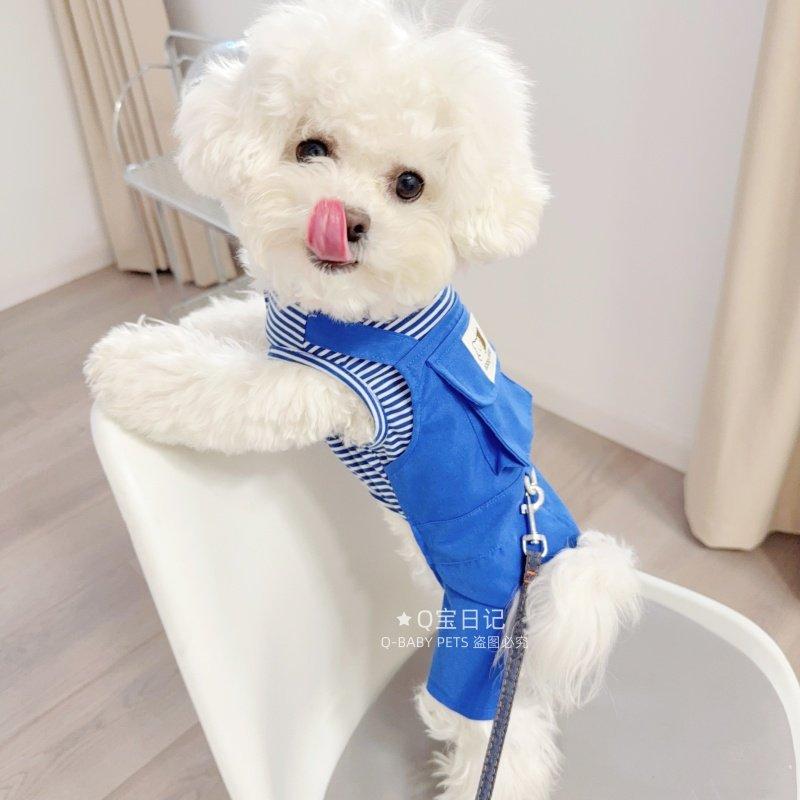 ���� �ղ� ����ʥ����� �ӥ���� �ƥǥ��٥��� ���襤�� �͵��� ��带 �ڥåȥ����� ����Ȥ� ���� �ۼ�®�� �����б� �դ�դ��Ǻ� �����奢...