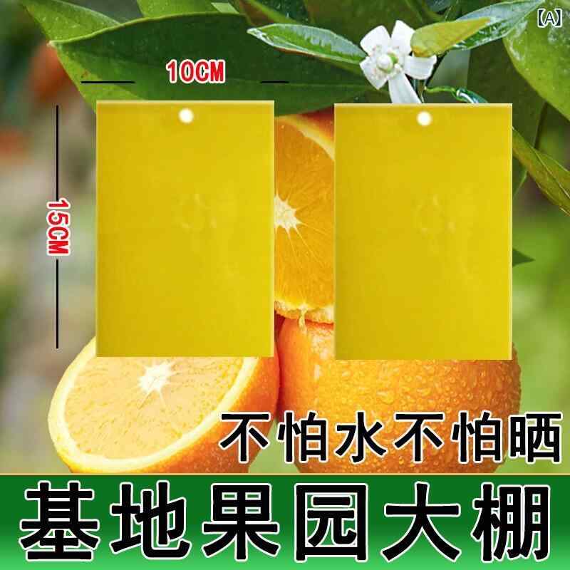 粘着昆虫捕獲板 黄色 青 両面タイプ 果樹園 温室 茶園 花畑用 果実ハエ 蜂 アザミウマ 小型黒虫 誘引 粘着式 害虫対策 ガーデニング 農業 軽量 耐久性