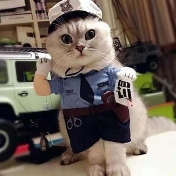 ペット コスチューム 変身 コスプレ服 犬猫用 おもしろ ユーモラス 遊び心 室内遊び 仮装 装飾 ペットファッション かわいい 変装 ペットグッズ