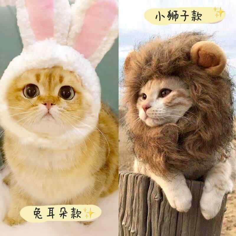 ペット用 ヘッドドレス 猫 ウサギ耳 ライオン頭 カバー 帽子 かわいい 誕生日 パーティー 仮装 アクセサリー 動物モチーフ コスプレ