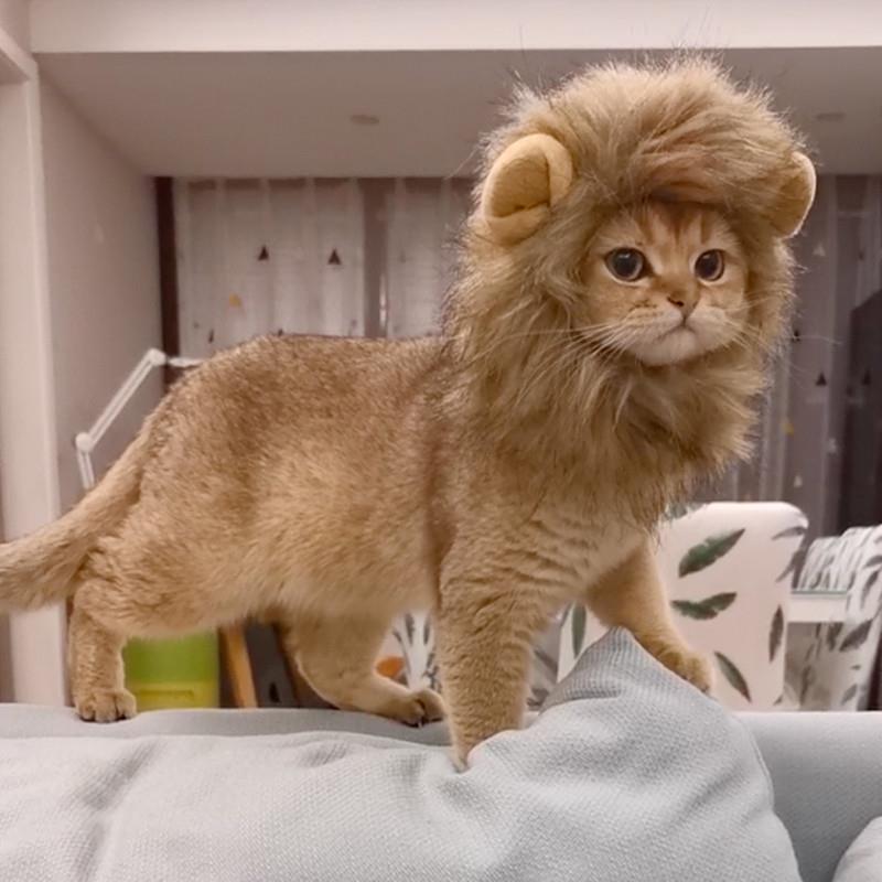 Rakuten - 小型犬用 ライオンヘッド ウサギ耳 かわいい 変装帽子 ペット コスプレ ヘッドアクセサリー 楽しい 配飾 頭飾
