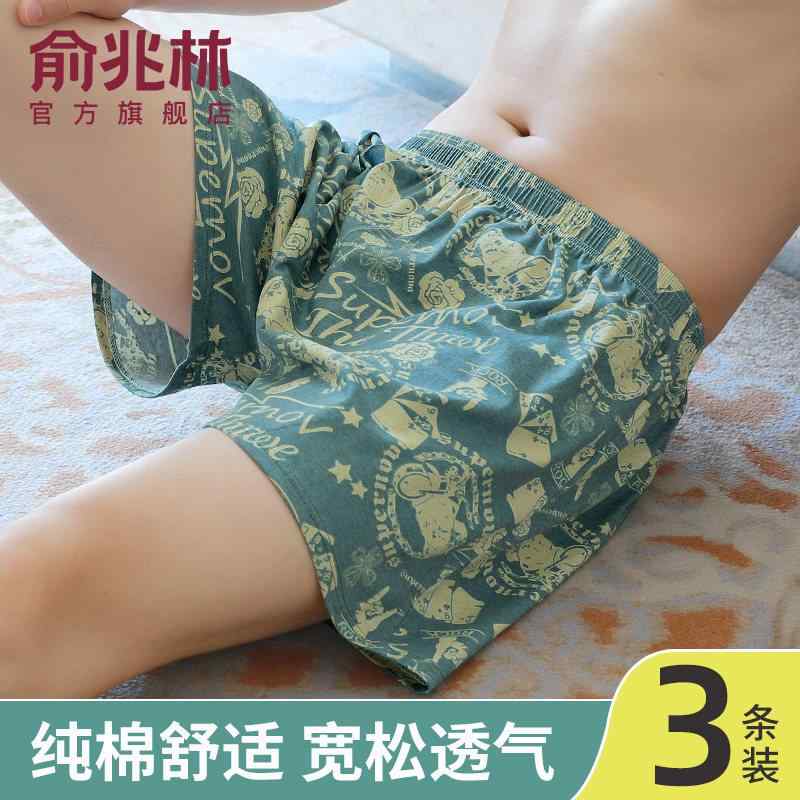 Men'S Underwear - メンズ ボクサーパンツ コットン ゆったり 通気性 夏用 薄手 吸湿速乾 男性用 下着 ショーツ 綿素材 軽量 快適 普段使い