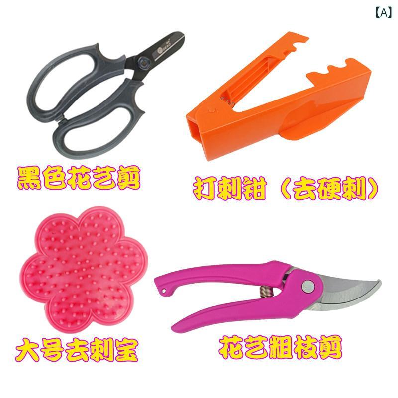 花芸ツールセット バラ棘抜きピンセット 精密除刺器 花修整用 花屋プロ仕様 ステン...