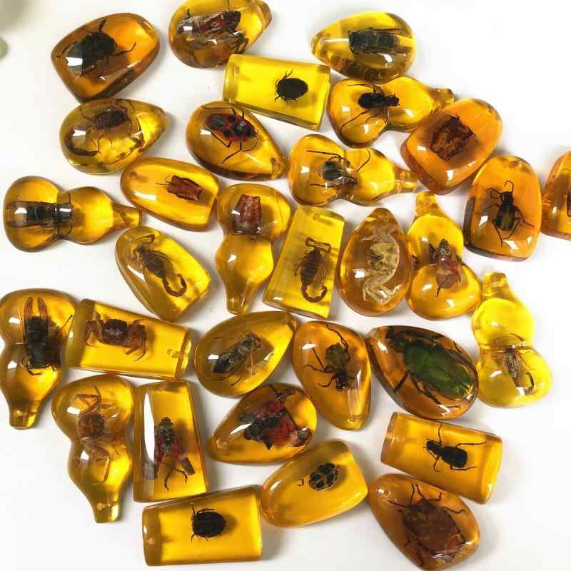 クラフトキット 子供用 昆虫標本 琥珀風 ペンダント 制作 ブラインドボックス 樹脂 科学教育 道具 小学生 教材 教材 置物 学習 道具 DIY 素材 再生樹脂 自然観察 科学実験 室内遊び 創造力 育成 教育玩具