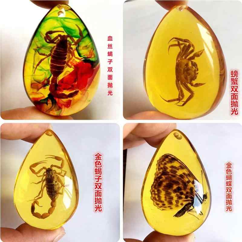 キッズ ペンダント 琥珀風 樹脂製 昆虫標本 蝶 蟹 モチーフ 教育 飾り 科学 学習 小学生 アクセサリー 風 自然 観察 玩具 インテリア