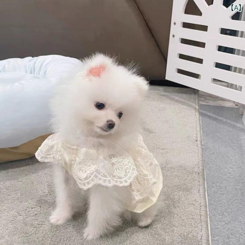 犬用スカート 子犬服 小型犬 テディ ビション ポメラニアン ティーカップ犬 猫用 春夏秋 薄手 通気性 軽量 ペットウェア かわいい 散歩用