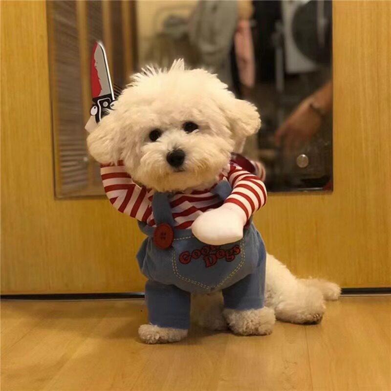 ペット服 変装コスチューム 刀持ちコスプレ 犬猫用 ビション ゴールデンレトリバー ポメラニアン 柴犬 コーギー ヨークシャーテリア 猫対応 中型犬 大型犬 かわいい仮装 楽しいペットファッション 室内遊び用