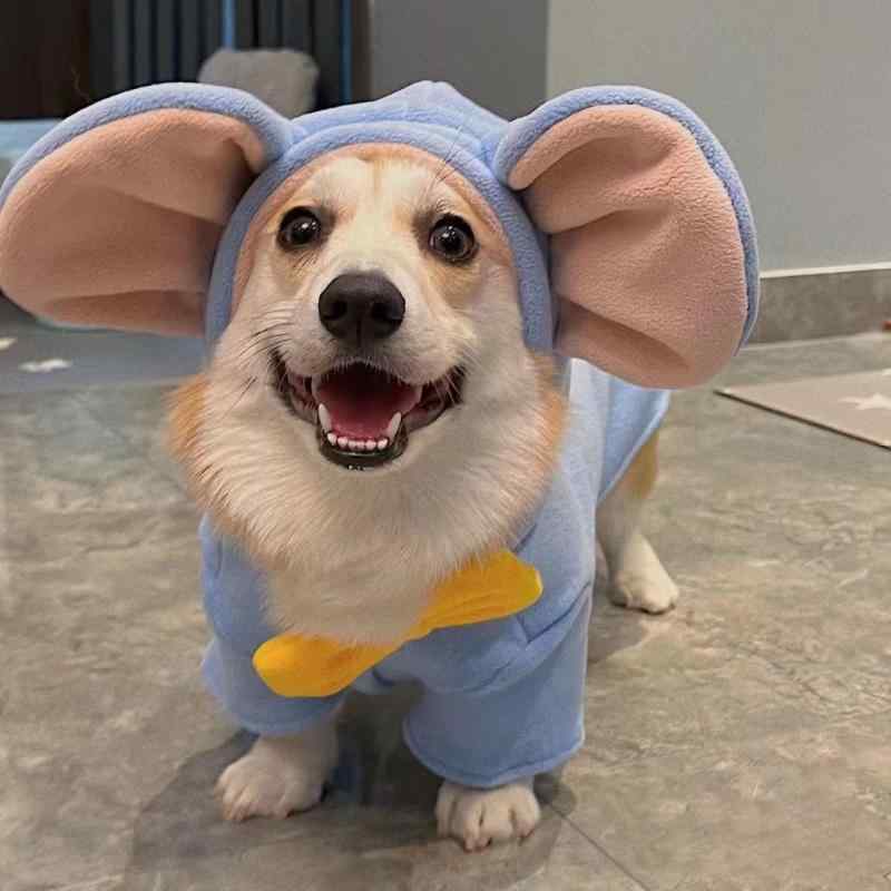 犬服 秋冬 中小型犬用 厚手 保暖 ベスト 暖か 保温 ペットウェア 散歩用 アウトドア