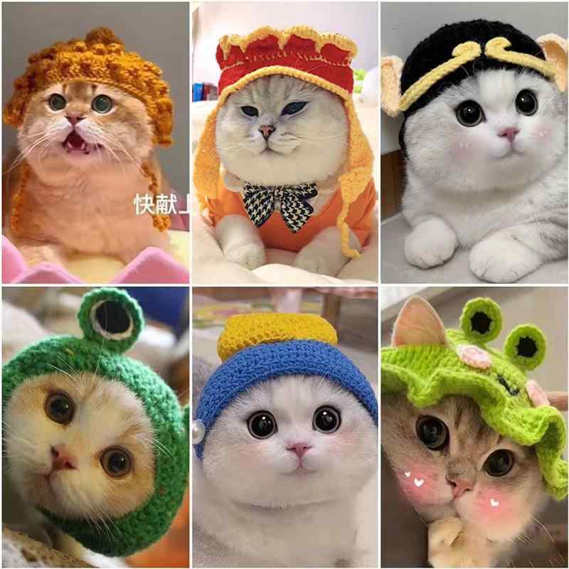 犬猫用ペット帽子 猫ヘッドカバー 編み込みヘッドアクセサリー 小型犬虎柄デザイン かわいいユニークプリント 写真撮影用ファッションアイテム 柔らかいニット素材 日常ペットグッズ