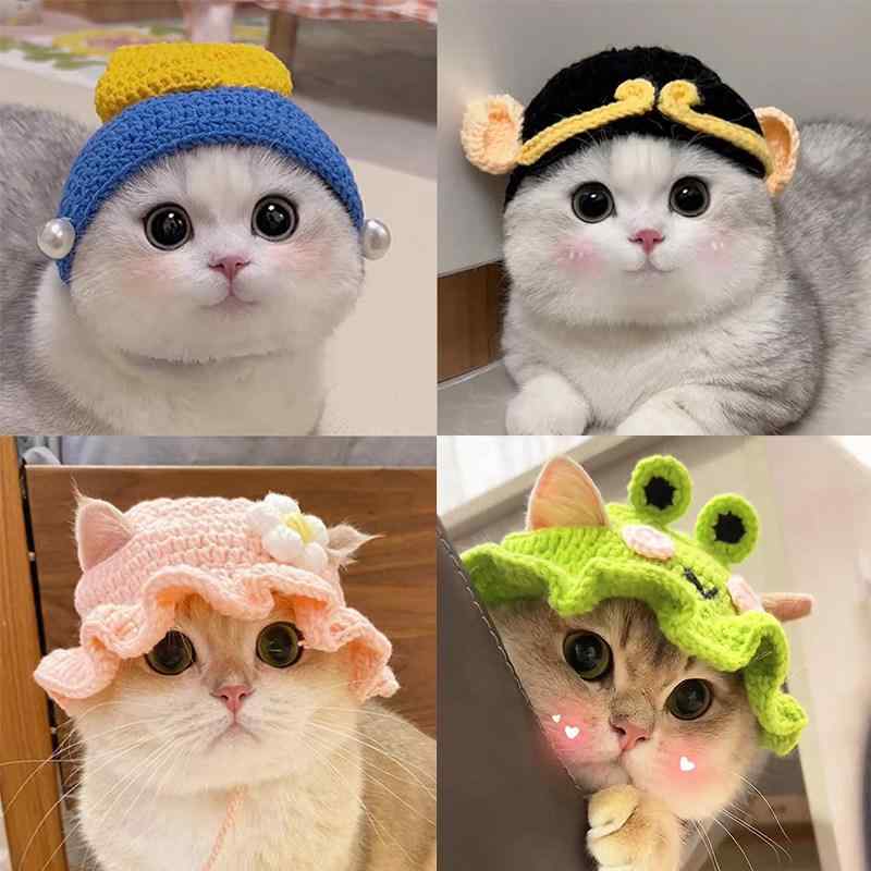 変装帽子 ペット用 猫耳ヘッド 犬猫コスプレ 毛糸素材 かわいいデザイン 撮影小道具 面白いヘッドアクセサリー 柔らかい 軽量 遊び心 満載