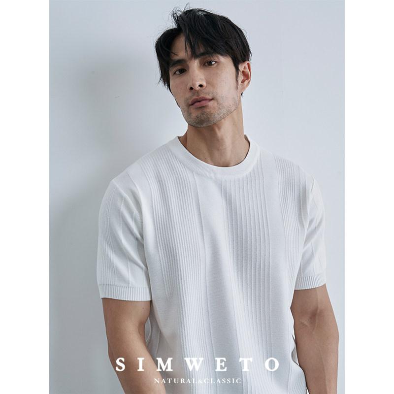 メンズ 夏用 細ストライプ クルーネック ニット Tシャツ スリムフィット 通気性 吸湿速乾 接触冷感 カジュアル トップス ショートスリーブ 普段使い 軽量 伸縮性