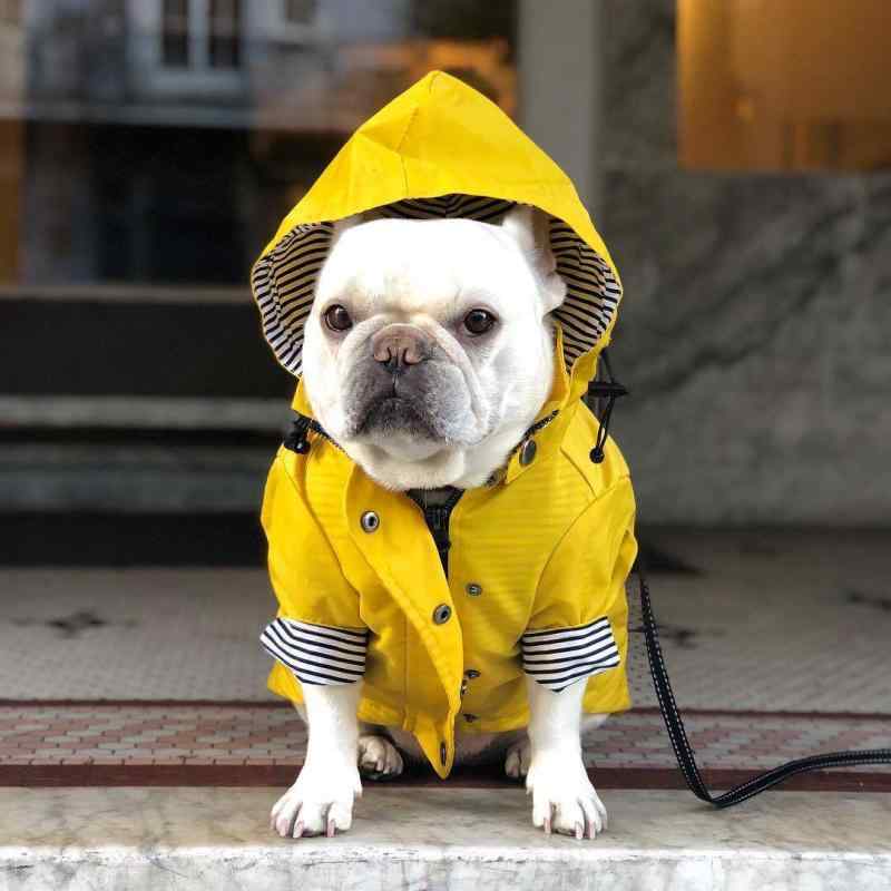 大型犬 レインコート ゴールデンレトリバー 防風防雨 厚手 イギリス風 ペット 雨具 防水 散歩用 アウトドア 犬服 暖か 耐久性