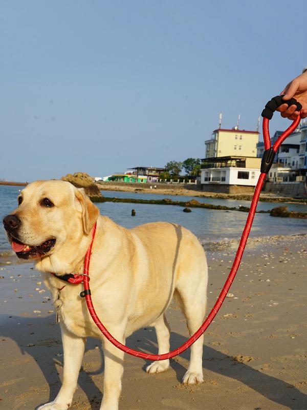 犬 リード 中大型犬用 ゴールデンレトリバー ラブラドール 対応 首輪 チェーン 牽引 ロープ 散歩 グッズ
