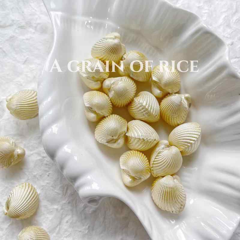 Venetian Beads - アクセサリー 天然貝殻 ビーズ 手作り キット 手链 项链 耳饰 スマホチェーン アクセサリー 素材 セット 穴あきビーズ 散珠 通孔 貝殻 天然素材 手芸 クラフト キット DIY アクセサリー 製作 材料