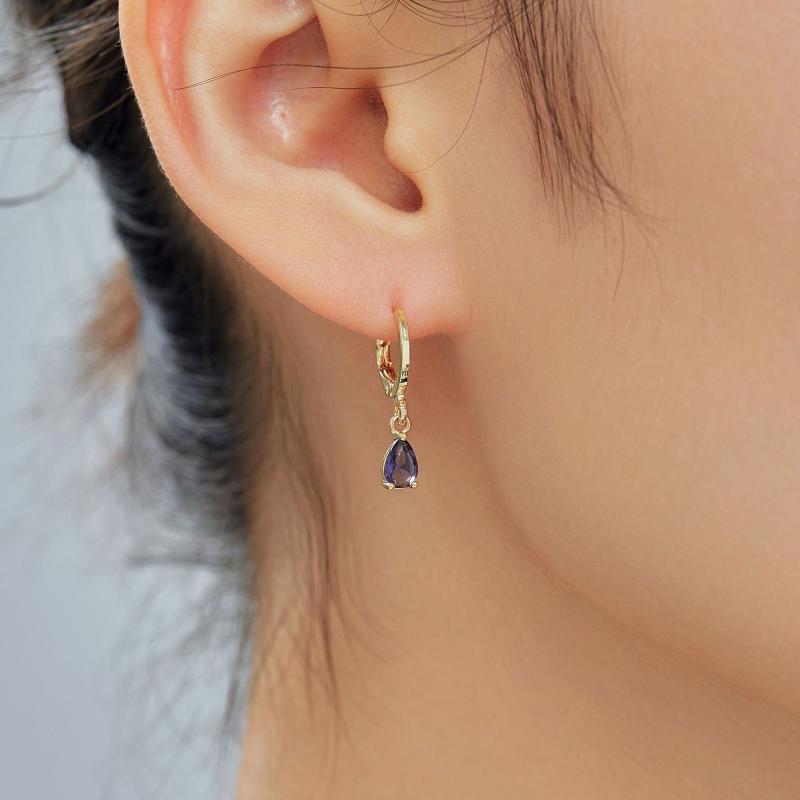 ピアス レディース ジルコニア 耳飾り アクセサリー かわいい おしゃれ 上品 高級感 小ぶり 小さめ 華奢 シンプル パーティー デート プレゼント デイリー 普段使い ギフト デコレーション ジュエリー 耳元装飾 煌びやか キラキラ シルバー ゴール