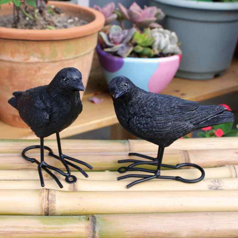 インテリア雑貨 置物 リアル カラス セット 2点 鳥 彫刻 樹脂 工業品 庭 ガーデニング オブジェ ハロウィン 装飾品 飾り物 リアルな造形 ガーデンオーナメント クール 動物モチーフ アート 置き物 飾り付け グッズ 室内 屋外 インテリア 庭園