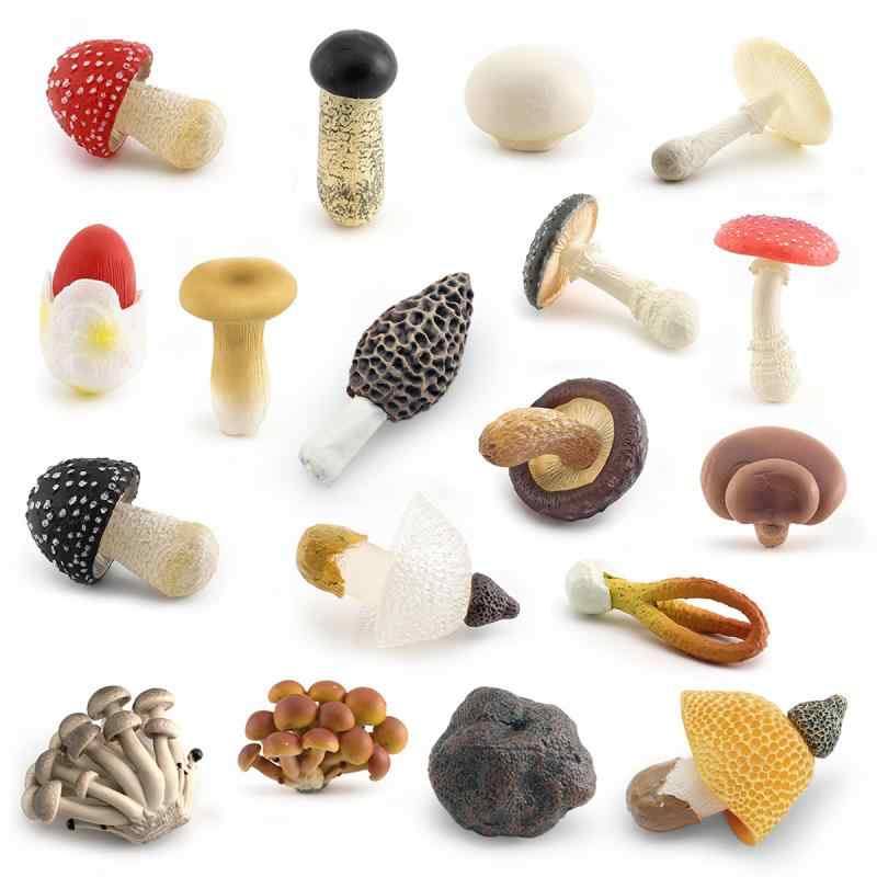 材料: プラスチック/プラスチック出身地: 汕頭仕様: オプションを参照ブランド: Qile おもちゃ梱包方法: その他静的ですか: はいアニメのイメージはか: いいえ特許および著作権の申請時期: /商品番号: フリルショッピングドのビデオはか: はいシミュレーションカテゴリー: 動植物組み立てるかどうか: いいえ専用ですか: はい (この製品はのみを目的としており.国内の製品規格に準拠していない場合が。)海外からの者は注意してしてください)色: BL-1530 ポイズンロープ傘 27g,PL127-2127 キノコ 53g,PL127-2128 ロングスカート タケノコ 27g,PL127-2129 マジキノコ 30g,PL127-2130 スライドキノコ 18g,PL127-2131 ブラックポイズンロープアンブレラ 32g,PL127-2132 レッドポイズンロープアンブレラ 32g,PL127-2133 松茸 33g,PL127-2134 ピンクポイズンロープ傘 27g,PL127-2135 バイポイズン ペースト 15g,PL127-2136 アサガメ 33g,PL127-2137 フェロリ菌 28g,PL127-2138 ダブルフラッシュルーム 27g,PL127-2139 フラットキノコ 15g,PL127-2154 ロングスカートタケノコキノコ 27g,PL127-2155 黒トリュフトリュフ 33g,PL127-2156 アミガサタケ 16g,PL127-2157 ベルガモット 10g,PL127-2460 バラセット 116g,PL127-2461 菌セット 120g,PL127-2462 菌セット 102g,PL127-3443 フィルムセット 86g,PL127-2140 シダ 7g,PL127-2141 イチジク 66g,PL127-2142 タケノコ 24g,PL127-2143 遼東木 13g,PL127-2144 タケノコ 33g,PL127-2145 ムトングオ 26g,PL127-2146 ジヘ 16g,PL127-2463 山グッズセット 88g,PL127-2464 マウンテングッズセット 110g主要な下流プラットフォーム: ,,wish,アリエクスプレス,独立したステーション,LAZADA主な販売エリア: アフリカ,,南米,東南アジア,北米,北東アジア,中東認可プライベートブランドが: いいえ国境を越えた専用の供給源ですか: はい対象年齢: 子供(4～6歳)