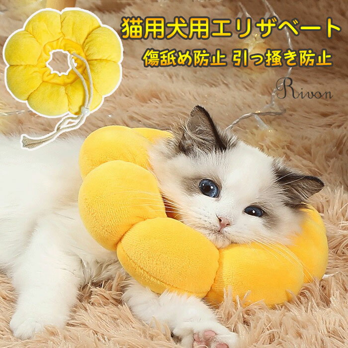 ꥶ٥顼 Ҥޤ귿 ǭ  餫 İ  ꥶ٥ å Ĵǽ Ӥɻ ɻ ǭѥ顼 ڥå...