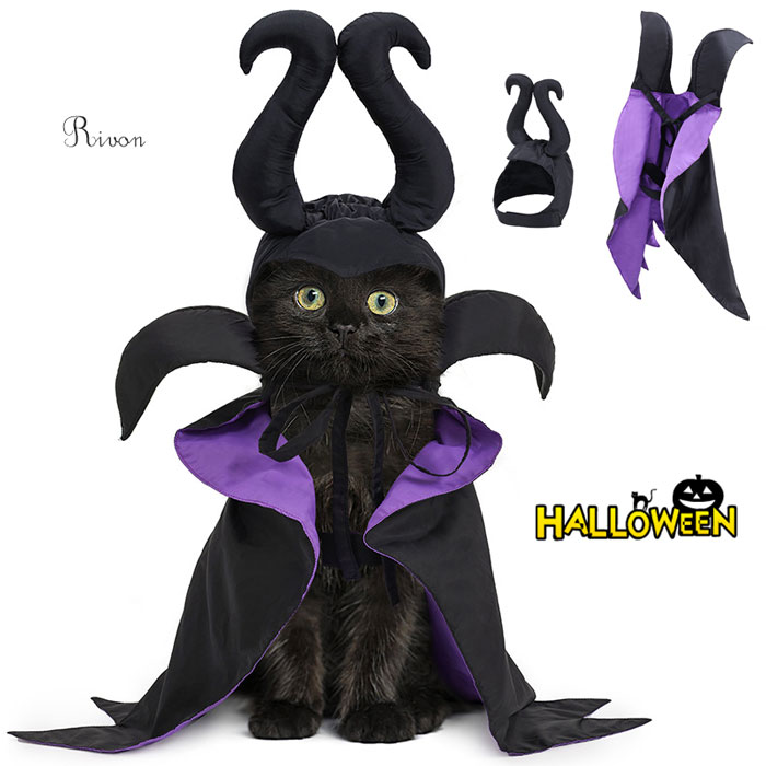 ハロウィン ペット服 コスチューム コスプレ 犬 猫用 ハロウィン 帽子 マント ペット 仮装 魔女帽子 か..