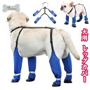 犬用レッグカバー 調節 犬服 犬用パンツ 犬 レインコート サスペンダー付き 防水 犬用ブーツ 防水 滑り止め 脱げない レインパンツ サスペンダー付き 屋外四本足パンツ 肉球保護 汚れ防止 お出かけ 犬レインシューズ ドッグブーツ 小/中/大型犬
