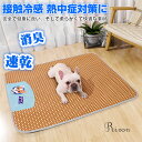 ペット用 夏用マット 犬 ひんやりマット 冷感マット 速乾 消臭 ペット用冷却マット 猫 犬 夏用 クールマット 滑り止め 折り畳み可 ペット用品 夏用 しい ...