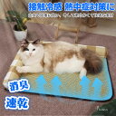 \枕付き/ ペット用 冷感ごろ寝マット 大 ペット 冷感 マット ひんやりマット 速乾 消臭 ペット用冷却マット 猫 犬 夏用 クールマット 滑り止め ペット用...
