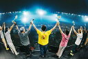 【限定先着特典:(内容未定)付き】 サザンオールスターズ LIVE TOUR 2025 「THANK YOU SO MUCH!!」【通常盤 2DVD】 ライブ ツアー サンキューソーマッチ