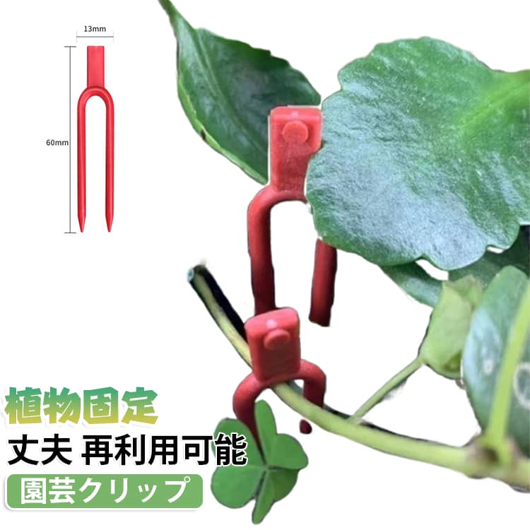 【幅広い用途】きゅうり、スイカ、いちご、トマト、バラなど匍匐植物に広く使用されます。【使いやすい】シンプルで繊細なハンドルデザイン、操作が簡単で、時間と労力を節約することができます。【優れた耐久性と防水性】園芸クリップは耐久性のあるポリプロピレン素材を使用し、防水性と耐候性を備えています。頑丈で、柔軟性があり、鋭利で、壊れにくく、耐久性がある。【再利用可能】園芸クリップは品質のある素材を使用して、紫外線、 日差しに強く丈夫で長持ち、繰り返し使えて、低コストです。屋内または屋外の環境においても、クリップは長持ちし、簡単に損傷することはありません。 サイズ 2.5kg+0.5kg サイズについての説明 5cm:13*50mm　5.5cm:13*55mm　6cm:13*60mm　※サイズ表の実寸法は商品によって1-2cm程度の誤差がある場合がございます。　 素材 プラスチック 色 5cm(約700個) 5.5cm(約600個) 6cm(約500個) 備考 ●サイズ詳細等の測り方はスタッフ間で統一、徹底はしておりますが、実寸は商品によって若干の誤差(1cm～3cm )がある場合がございますので、予めご了承ください。 ●製造ロットにより、細部形状の違いや、同色でも色味に多少の誤差が生じます。 ●パッケージは改良のため予告なく仕様を変更する場合があります。 ▼商品の色は、撮影時の光や、お客様のモニターの色具合などにより、実際の商品と異なる場合がございます。あらかじめ、ご了承ください。 ▼生地の特性上、やや匂いが強く感じられるものもございます。数日のご使用や陰干しなどで気になる匂いはほとんど感じられなくなります。 ▼同じ商品でも生産時期により形やサイズ、カラーに多少の誤差が生じる場合もございます。 ▼他店舗でも在庫を共有して販売をしている為、受注後欠品となる場合もございます。予め、ご了承お願い申し上げます。 ▼出荷前に全て検品を行っておりますが、万が一商品に不具合があった場合は、お問い合わせフォームまたはメールよりご連絡頂けます様お願い申し上げます。速やかに対応致しますのでご安心ください。