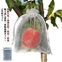 果物袋 防鳥ネット ぶどう袋 果物ネット 果物保護バッグ ぶどう袋 りんご袋 果実袋 100枚入 葡萄園芸 ネット 鳥よけ虫除けネット鳩よけネット 果樹用防鳥ネ...