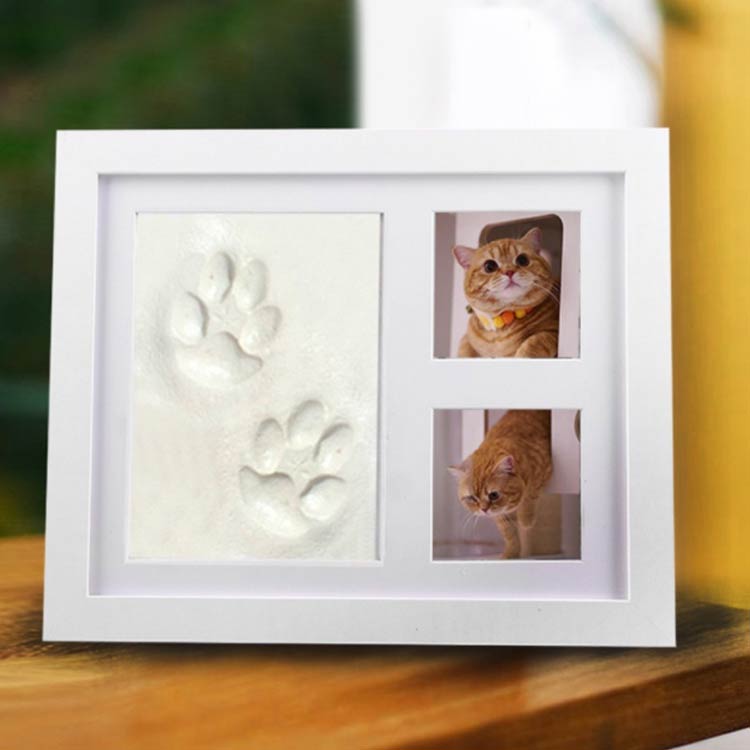 �ե��ȥ������ ��� ��� �̿�Ω�� ���å� �٥ӡ��ե��ȥե졼�� �֤���� ��ǰ �٥ӡ��ե졼�� �٥ӡ���ǰ�� ���������ˤ� �л��ˤ� �٥ӡ� �С����ǡ��ˤ� Ǵ�� 1�� ���ꥢ�� ��Ĺ��Ͽ �ɳݤ� �٥ӡ��ե��ȥե졼�� �ڥå� ǭ
