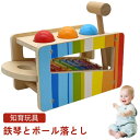 パウンド 音の出るおもちゃ ボール落とし ハンマートイ 名入れ 知育玩具 タップベンチ 音の出るおもちゃ 鉄琴 木のおもちゃ ドイツ 1歳 名前入り とんかち遊び 知育 おもちゃ 木製 男の子
