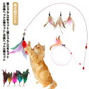 おもちゃ 鈴付き 長い ペット用品 ロング ねこじゃらし 羽根 交換ヘッド9個 猫じゃらし セット ストレス発散 猫 5本セット ネコ 棒 キャットトイ 安全 ...