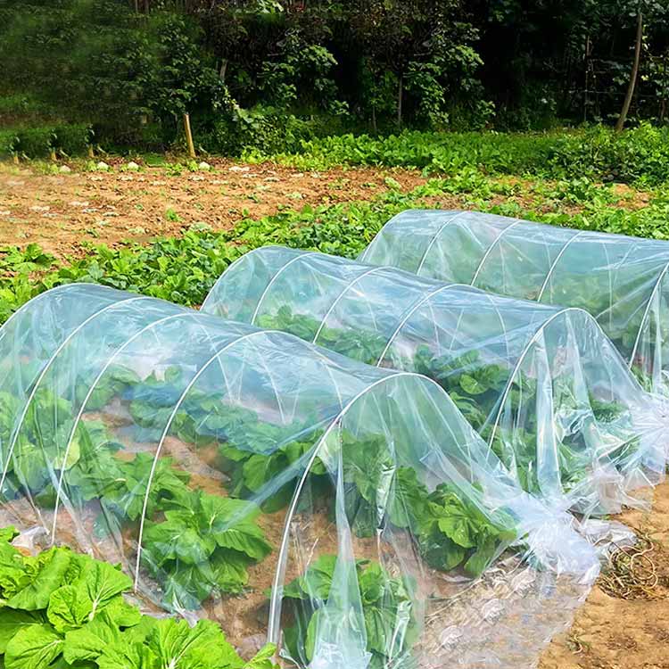 園芸グッズ ビニールハウス用 厚さ0.06mm×幅2m×長さ100m 農業用ビニール 家庭菜園 ...