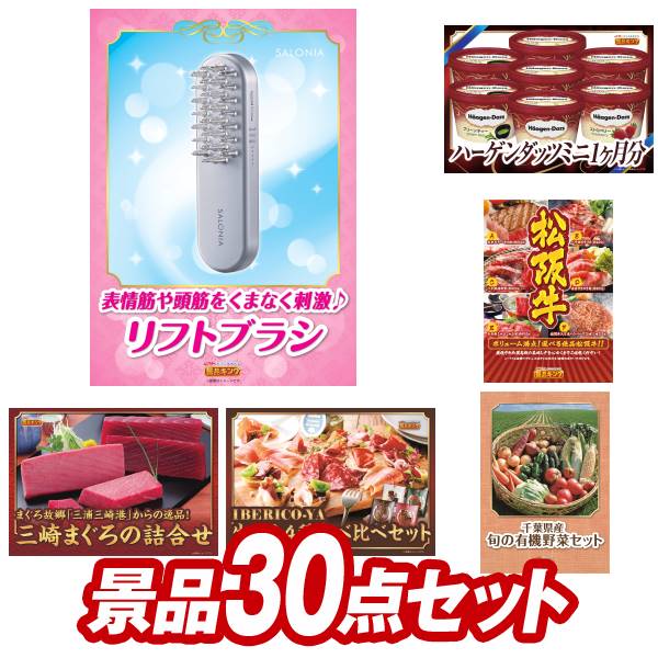 結婚式 景品 30点セット ビンゴ 二次会 披露宴 景品セット【SALONIA EMSリフトブラシ、ハーゲンダッツ ミニカップ 1ヶ月分　30個】送料無料 特大パネル・目録付き 忘年会・新年会でもOK