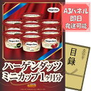 ゴルフ景品1点セット【ハーゲンダッツ ミニカップ 1ヶ月分 30個】送料無料!特大パネル・目録・特典付き!