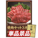 ゴルフ景品1点セット【焼肉セット3キロ】送料無料!特大パネル・目録・特典付き!