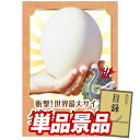 ゴルフ景品1点セット【ダチョウの卵】送料無料!特大パネル・目録・特典付き!