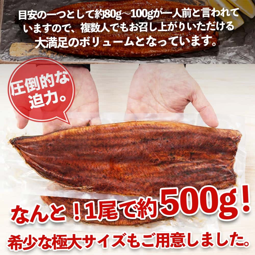 ★★ ご褒美うなぎ 蒲焼き 特大サイズ 330g～500g/尾 化粧箱入り｜肉厚ふっくら とろける食感｜中国産 冷凍 鰻 真空パック｜圧倒的ボリューム・一貫管理の安心品質｜土用の丑の日 父の日 ウナギ rkplus-10000212 RKplus総合雑貨店 サンプル画像3