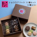 プチケーキ 母の日 プレゼント ギフト お菓子 2024 ショコラ アソート チョコ プチケーキ 詰め合わせ ギフトチョコ スイーツ 内祝い 退職 お礼 誕生日 プレゼント お取り寄せスイーツ お返し ギフト 手土産 クッキー キャラメルサンド サブレ ばらまき