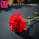 R.L エール・エル 母の日フラワー 同梱専用【母の日 プレゼント 早割 花とお菓子 アーティフィシャルフラワー カーネーション 感謝 プレゼント ギフト 花 プレゼント 誕生日プレゼント 花とスイーツ お祝い お母さん 誕生日プレゼント 合わせ買い あわせ買い まとめ買い】