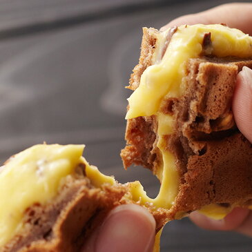 【送料込】東京土産第1位!ワッフルケーキ10個入り父の日 スイーツ 送料無料 プレゼント ギフト おしゃれ 洋菓子 お取り寄せスイーツ 退職 お礼 お菓子 結婚 産休 出産内祝い 出産 内祝 お返し お祝い返し お中元 お土産 ワッフル・ケーキの店 エール・エル