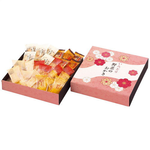 【送料無料・包装無料・のし無料】タクセイ いろどり野菜のおかき IR-DN(A4)