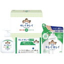 【ギフト包装・のし紙無料】ライオン キレイキレイ薬用液体ハンドソープセット LBH-8P LBH-8P(B5)