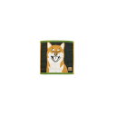 【ギフト包装・のし紙無料】ワンダフルピース ラブアイズ キャリータオル 柴犬 0765001400
